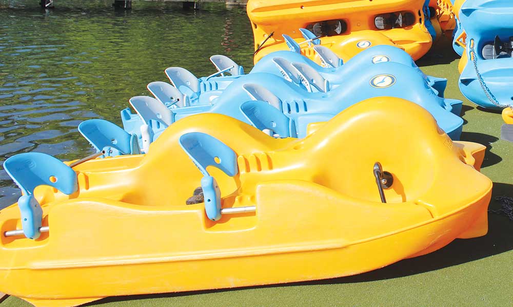 Paddle Boats Rentals